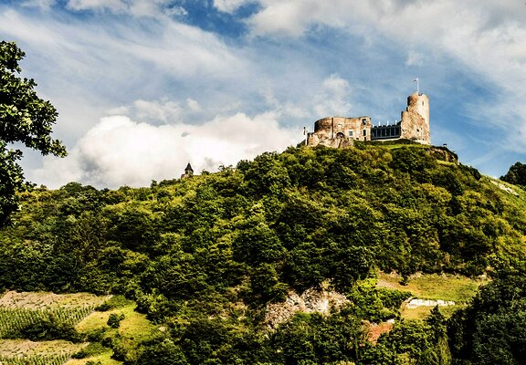 Burg Landshut