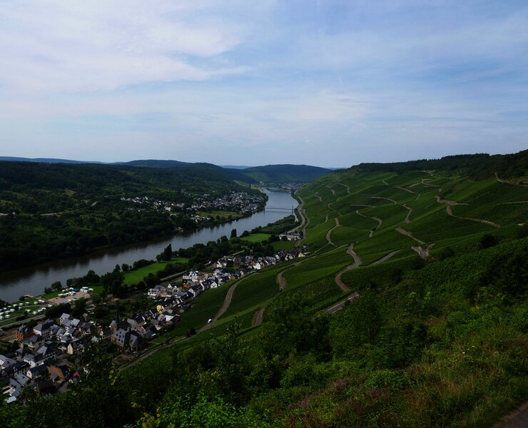 Ausblick auf Graach und die Weinberge