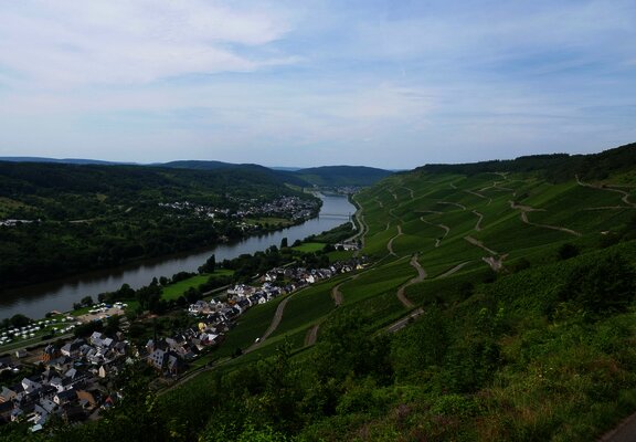 Ausblick auf Graach und die Weinberge
