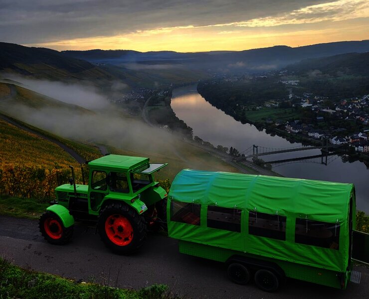 Planwagen im Weinberg