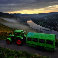 Planwagen im Weinberg