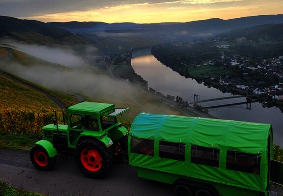 Planwagen im Weinberg