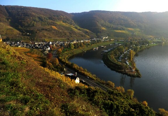 Aussicht auf Senheim mit Hafen