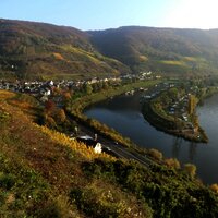 Aussicht auf Senheim mit Hafen