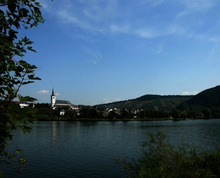 Moselansicht
