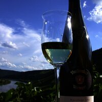 Weine vom Weingut Paulinshof