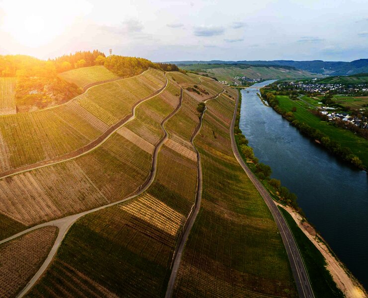 Drohne-Brauneberg_-(16)