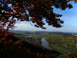 Ausblick "Wilhelmshöhe"