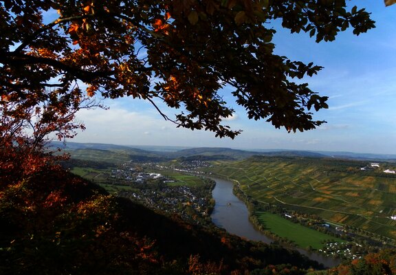 Ausblick "Wilhelmshöhe"