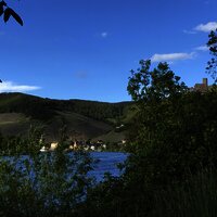 Blick vom Radweg nach Bernkastel-Kues