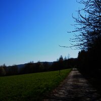 Überwiegend geteerte Wege