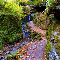 Wasserfall - Tinkelbach - Bernkastel-Kues