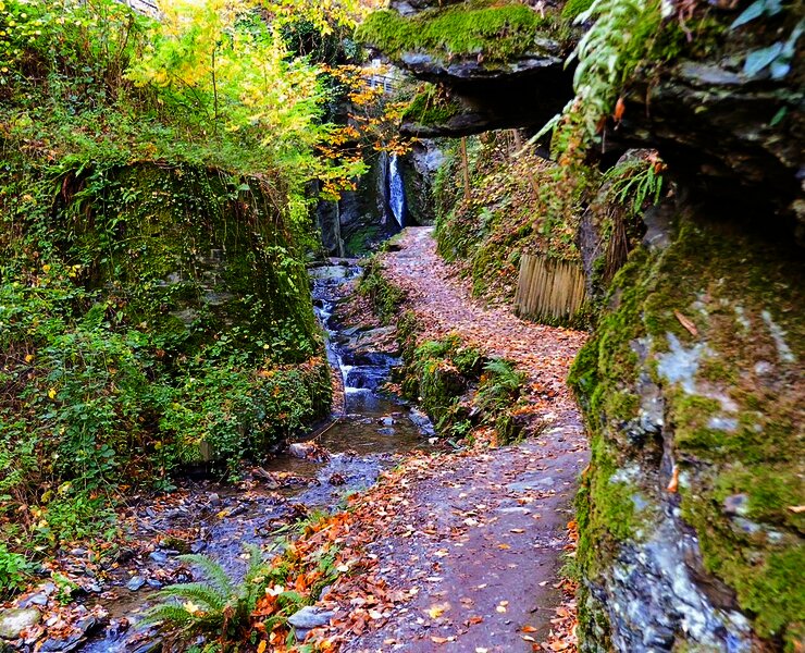 Wasserfall - Tinkelbach - Bernkastel-Kues
