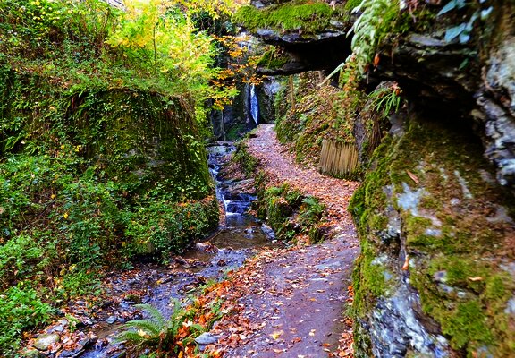 Wasserfall - Tinkelbach - Bernkastel-Kues