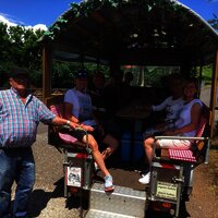 Planwagenfahrt - Weinerlebnis pur - Wein-und Gaest