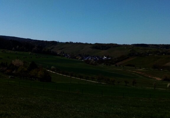 Weinbaugemeinde Burgen