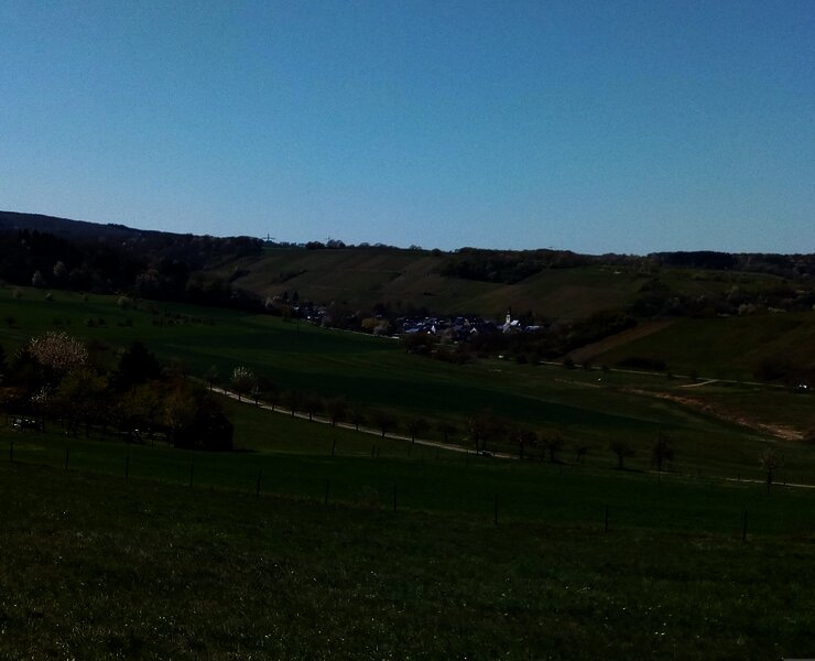 Weinbaugemeinde Burgen