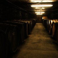 Weinfasskeller des Weingut Selbach-Oster