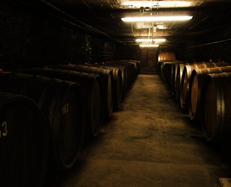 Weinfasskeller des Weingut Selbach-Oster