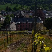 Schloss Dreis vom Weinberg aus