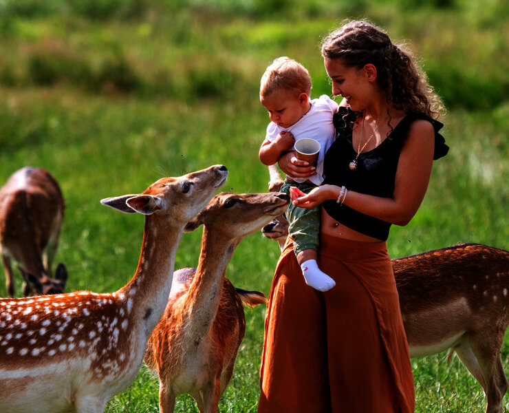 Das Bild zeigt eine Mutter mit ihren kleinen Baby auf dem Arm. Neben ihnen stehen Rehe.