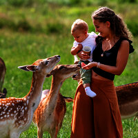 Das Bild zeigt eine Mutter mit ihren kleinen Baby auf dem Arm. Neben ihnen stehen Rehe.