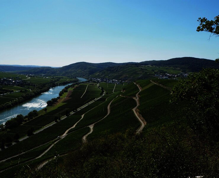 Aussicht auf Kesten und Osann-Monzel