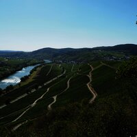 Aussicht auf Kesten und Osann-Monzel