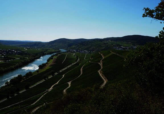 Aussicht auf Kesten und Osann-Monzel