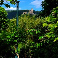 15. Burgblick aus den Garten
