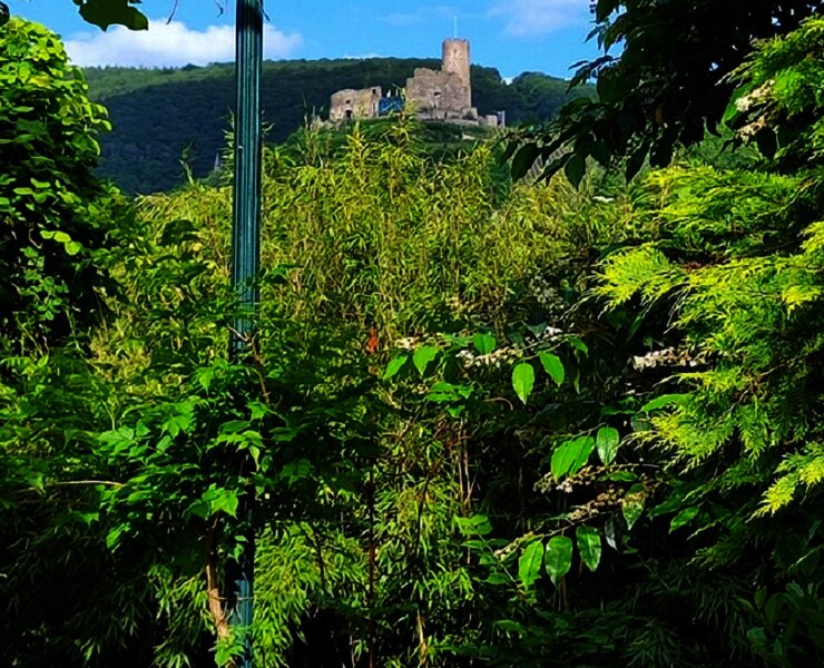 15. Burgblick aus den Garten