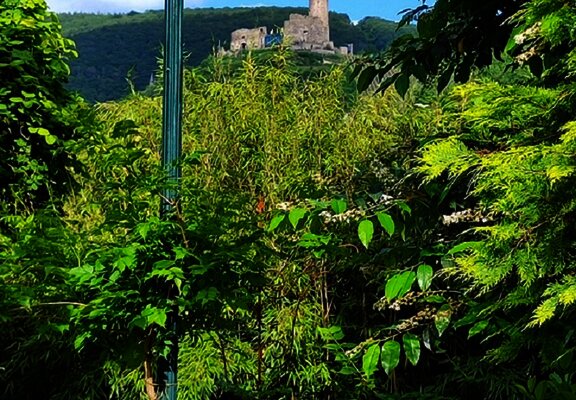 15. Burgblick aus den Garten