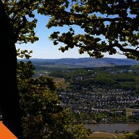 Wandern an der Mosel im Ferienland Bernkastel-Kues
