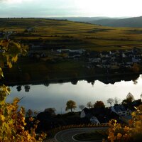 Bild für Holidaycheck Goldtröpfchen2