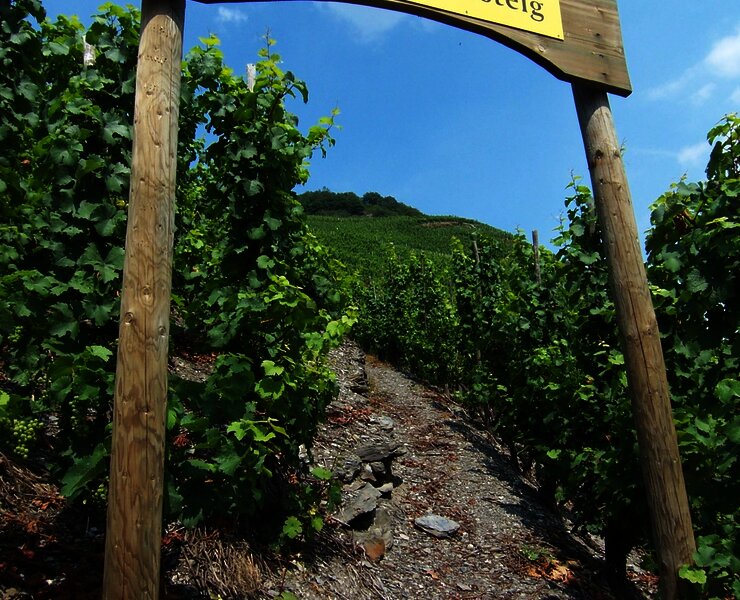 Thörnich: Ritsch-Klettersteig