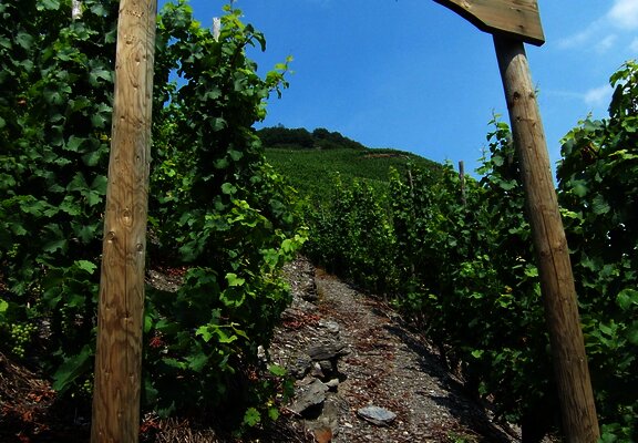 Thörnich: Ritsch-Klettersteig