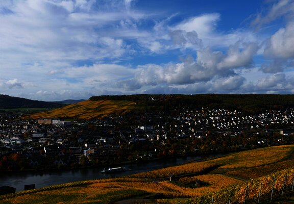 Weinberge über Bernkastel-Kues