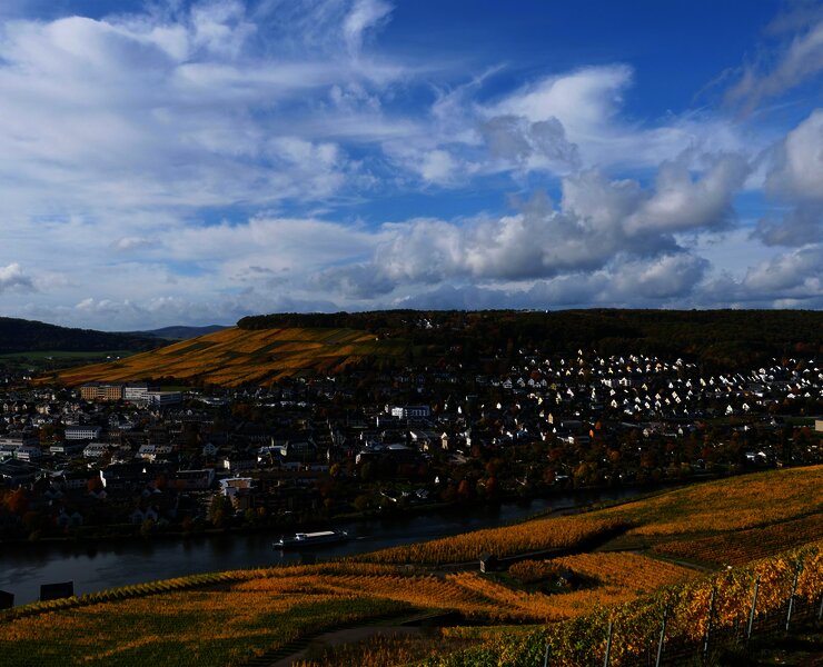 Weinberge über Bernkastel-Kues