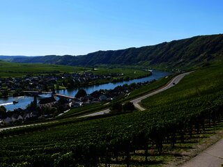Weinort Piesport an der Mosel