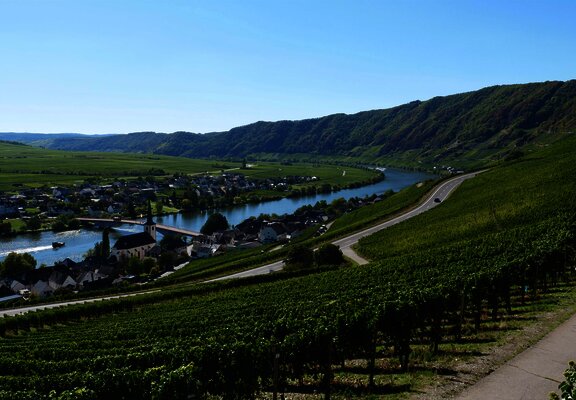 Weinort Piesport an der Mosel