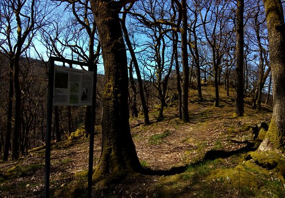Infotafel an der Barbelley