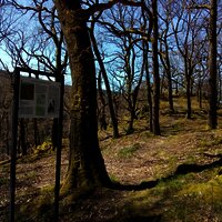 Infotafel an der Barbelley