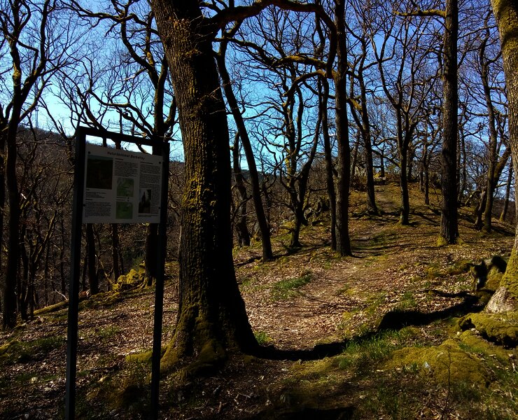 Infotafel an der Barbelley