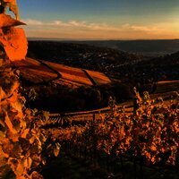 443B1CDA-DD28-4916-858F-9279D3DB12E8