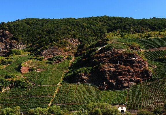 Blick auf die Weinberge gegenüber von Erden