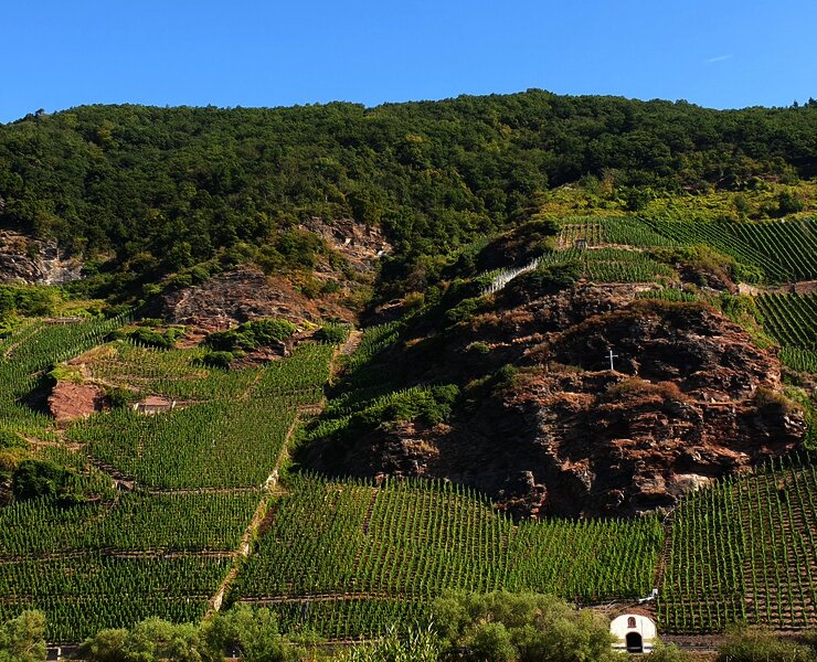 Blick auf die Weinberge gegenüber von Erden
