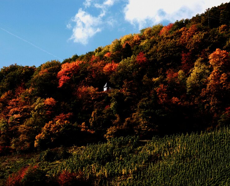 Spoar-Kapelle in den Weinbergen