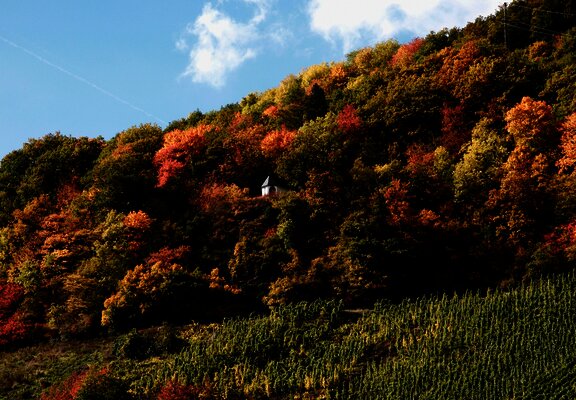 Spoar-Kapelle in den Weinbergen