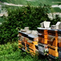 Es gitb viel zu Entdecken!