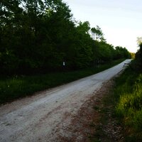 Infotafeln - ca. auf dem Mitte des Wanderweges